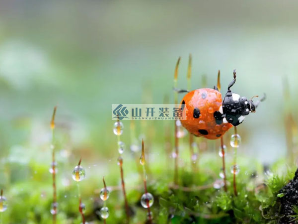 砂漿設(shè)備